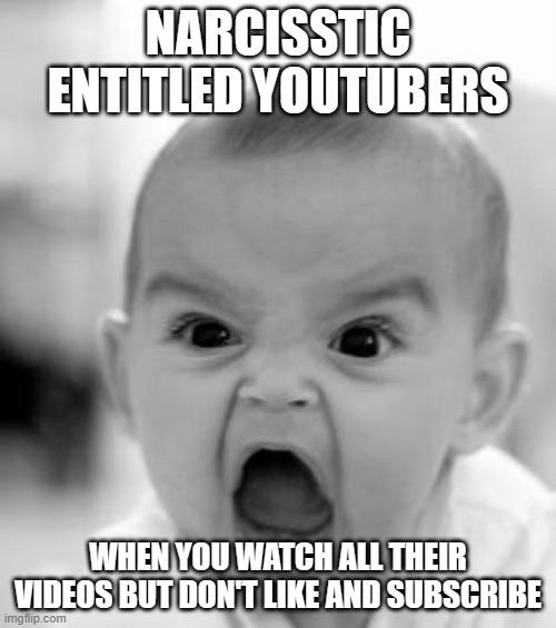 You make me feel so appreciated | NARCISSTIC ENTITLED YOUTUBERS; WHEN YOU WATCH ALL THEIR VIDEOS BUT DON'T LIKE AND SUBSCRIBE | image tagged in angry baby,youtube,youtubers,subscribe,narcissist,entitlement | made w/ Imgflip meme maker