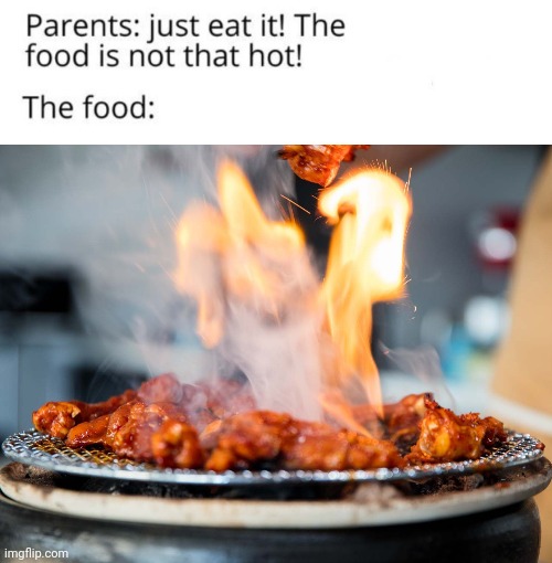Hot food | image tagged in the food is not that hot,funny,memes,blank white template,food,fire | made w/ Imgflip meme maker
