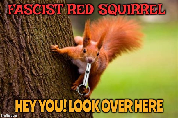 Republican political operative | image tagged in red squirrel,dog whistle,gop,look squirrel,maga,diversion | made w/ Imgflip meme maker