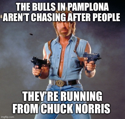 Chuck Norris Guns | THE BULLS IN PAMPLONA AREN’T CHASING AFTER PEOPLE; THEY’RE RUNNING FROM CHUCK NORRIS | image tagged in memes,chuck norris guns,chuck norris | made w/ Imgflip meme maker