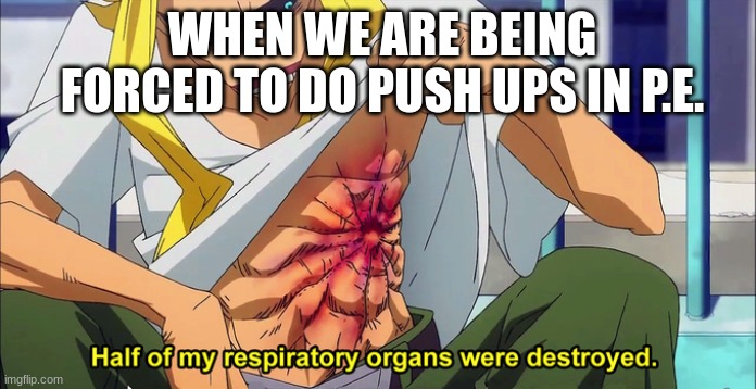 half of my respiratory organs were destroyed | WHEN WE ARE BEING FORCED TO DO PUSH UPS IN P.E. | image tagged in half of my respiratory organs were destroyed | made w/ Imgflip meme maker