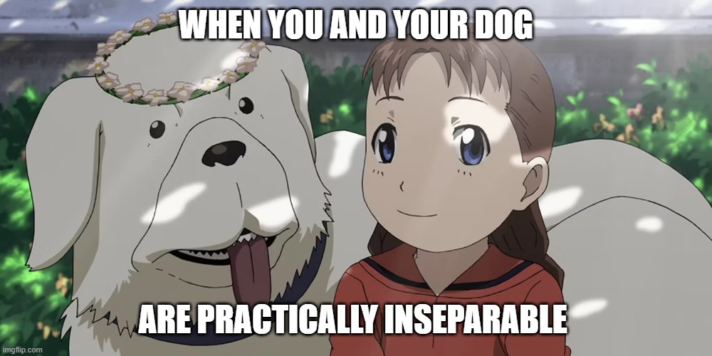 WHEN YOU AND YOUR DOG; ARE PRACTICALLY INSEPARABLE | image tagged in fma,edward | made w/ Imgflip meme maker