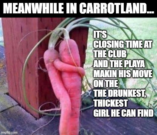 MEANWHILE IN CARROTLAND... IT'S CLOSING TIME AT THE CLUB 
AND THE PLAYA MAKIN HIS MOVE 
ON THE THE DRUNKEST, 
THICKEST GIRL HE CAN FIND | image tagged in club,thik,carrot,anthropomorphism | made w/ Imgflip meme maker