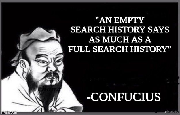 stay safe out there | "AN EMPTY SEARCH HISTORY SAYS AS MUCH AS A FULL SEARCH HISTORY"; -CONFUCIUS | image tagged in confucius citation | made w/ Imgflip meme maker