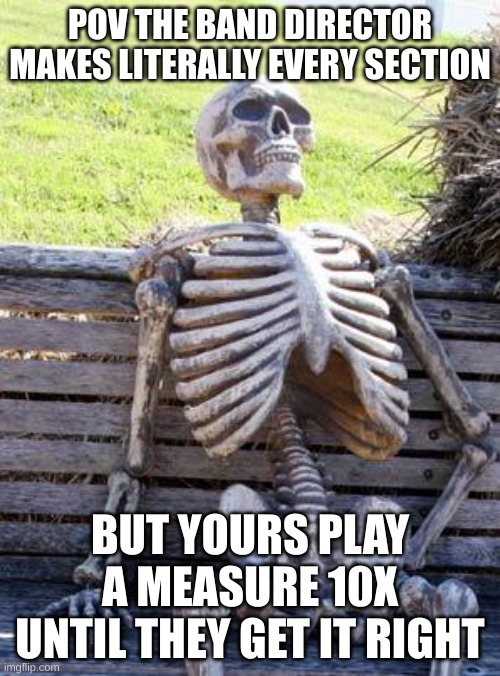 i play horn trumpet and piano btw | POV THE BAND DIRECTOR MAKES LITERALLY EVERY SECTION; BUT YOURS PLAY A MEASURE 10X UNTIL THEY GET IT RIGHT | image tagged in memes,waiting skeleton | made w/ Imgflip meme maker