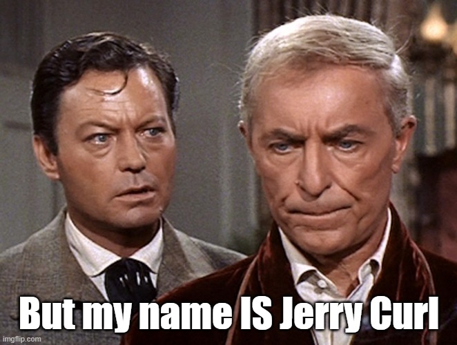 But my name IS Jerry Curl | image tagged in star trek,bones mccoy,hair,dr mccoy,funny | made w/ Imgflip meme maker