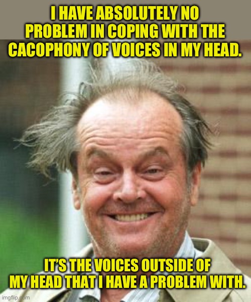 Voices | I HAVE ABSOLUTELY NO PROBLEM IN COPING WITH THE CACOPHONY OF VOICES IN MY HEAD. IT’S THE VOICES OUTSIDE OF MY HEAD THAT I HAVE A PROBLEM WITH. | image tagged in jack nicholson crazy hair | made w/ Imgflip meme maker