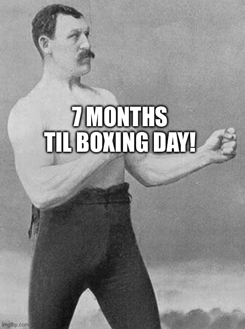 boxer | 7 MONTHS TIL BOXING DAY! | image tagged in boxer | made w/ Imgflip meme maker