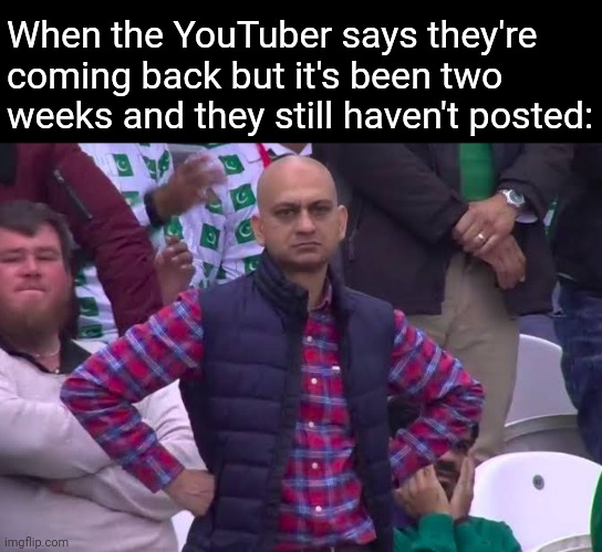 It's so very frustrating | When the YouTuber says they're coming back but it's been two weeks and they still haven't posted: | image tagged in disappointed man,memes,youtube,funny,waiting,denial | made w/ Imgflip meme maker