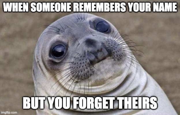 Remember | WHEN SOMEONE REMEMBERS YOUR NAME; BUT YOU FORGET THEIRS | image tagged in memes,awkward moment sealion | made w/ Imgflip meme maker