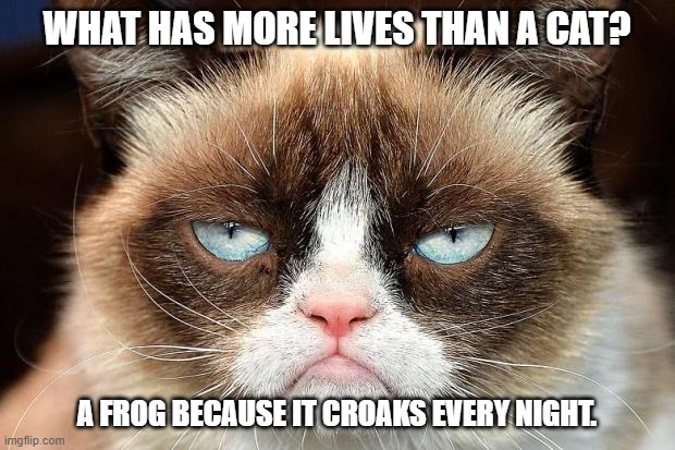 Daily Bad Dad Joke 06/07/2023 | WHAT HAS MORE LIVES THAN A CAT? A FROG BECAUSE IT CROAKS EVERY NIGHT. | image tagged in memes,grumpy cat not amused,grumpy cat | made w/ Imgflip meme maker