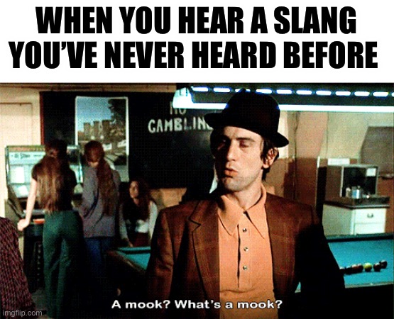 Mook | WHEN YOU HEAR A SLANG YOU’VE NEVER HEARD BEFORE | image tagged in robert de niro,slang | made w/ Imgflip meme maker