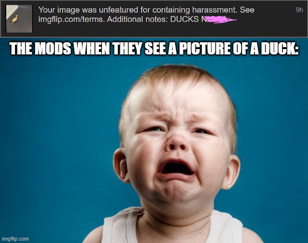 THE MODS WHEN THEY SEE A PICTURE OF A DUCK: | image tagged in baby crying,ducks | made w/ Imgflip meme maker