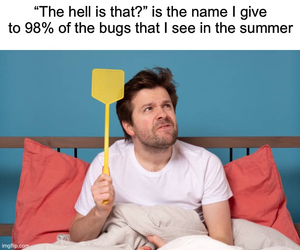 Get away from me! | “The hell is that?” is the name I give to 98% of the bugs that I see in the summer | image tagged in memes,funny,true story,relatable memes,summer,bugs | made w/ Imgflip meme maker