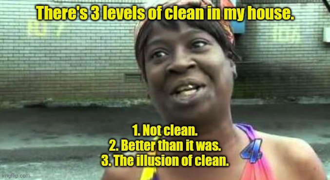 Same here. | There's 3 levels of clean in my house. 1. Not clean.
2. Better than it was.
3. The illusion of clean. | image tagged in sweet brown,funny | made w/ Imgflip meme maker
