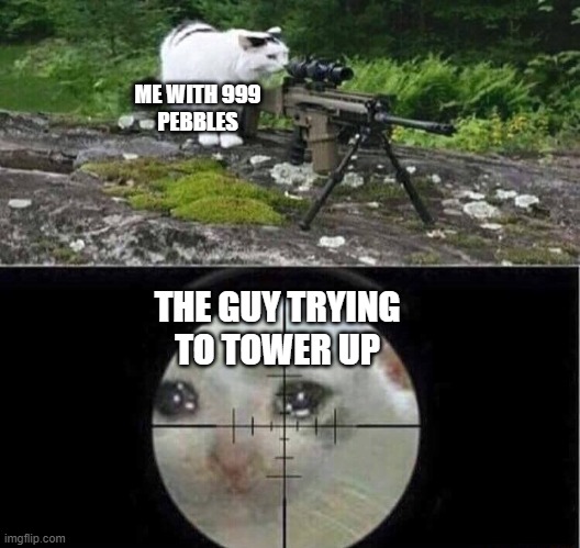 Sniper Cat Imgflip