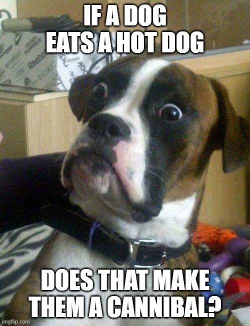 If a dog eats a hot dog then... | IF A DOG EATS A HOT DOG; DOES THAT MAKE THEM A CANNIBAL? | image tagged in blankie the shocked dog,hot dog,cannibal | made w/ Imgflip meme maker