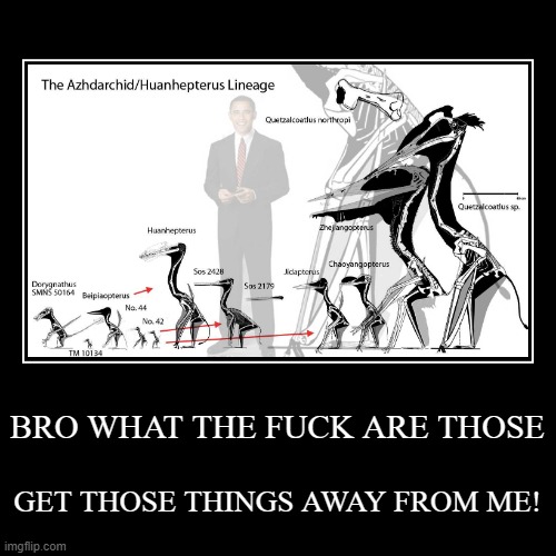 BRO WHAT THE FUCK IS THAT Imgflip