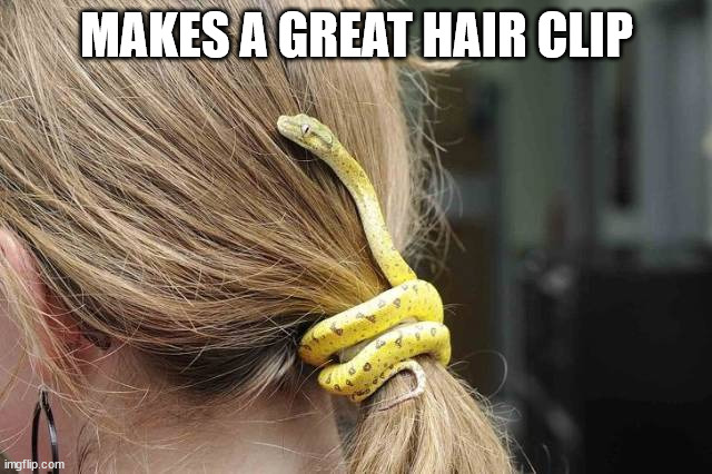 MAKES A GREAT HAIR CLIP | made w/ Imgflip meme maker