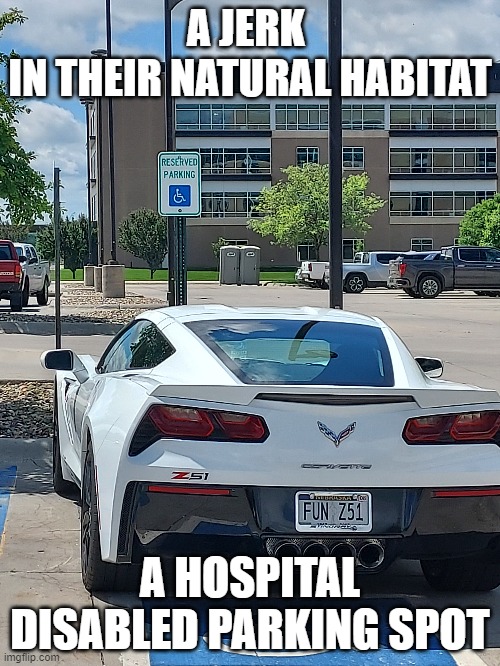 Stumbled upon a meme this morning... | A JERK 
IN THEIR NATURAL HABITAT; A HOSPITAL DISABLED PARKING SPOT | image tagged in jerk,disabled,memes,funny memes,shawnljohnson | made w/ Imgflip meme maker