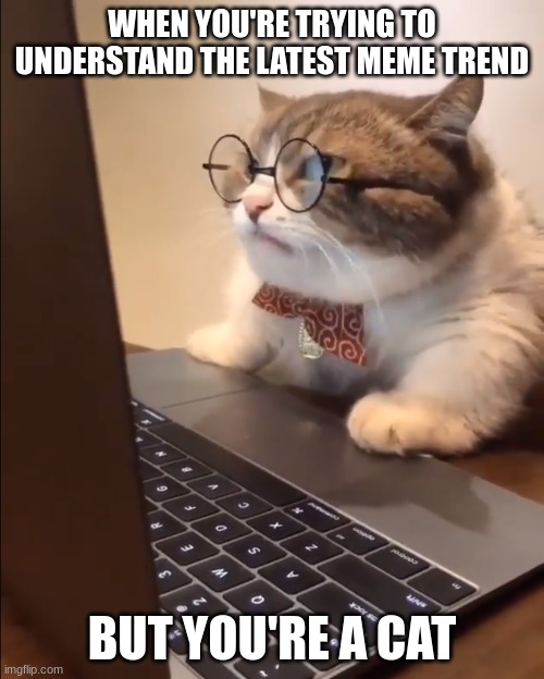 Meme generated by Google Bard | WHEN YOU'RE TRYING TO UNDERSTAND THE LATEST MEME TREND; BUT YOU'RE A CAT | image tagged in research cat,google,memes,bard,artificial intelligence,google bard | made w/ Imgflip meme maker
