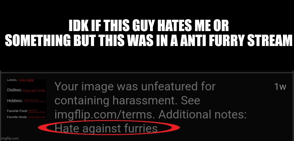 Bruhhhhhh (Mod Note: ????) | IDK IF THIS GUY HATES ME OR SOMETHING BUT THIS WAS IN A ANTI FURRY STREAM | made w/ Imgflip meme maker