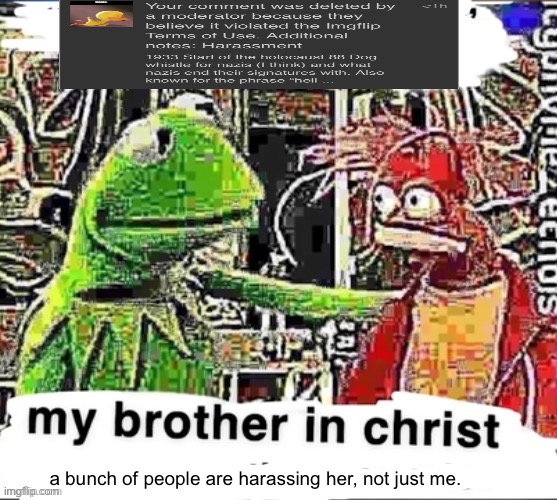 My brother in Christ | a bunch of people are harassing her, not just me. | image tagged in my brother in christ | made w/ Imgflip meme maker