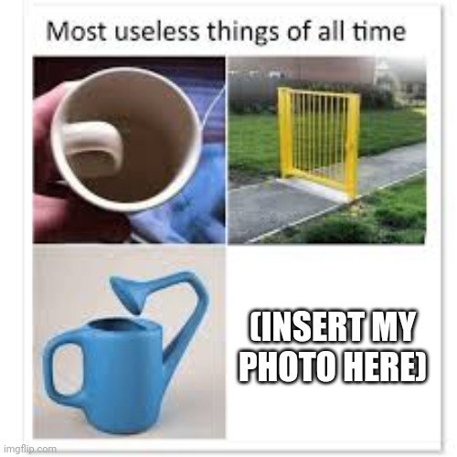 I am one of the most useless things of all time | (INSERT MY PHOTO HERE) | image tagged in most useless things,memes,i'm in this photo and i don't like it,useless,depression | made w/ Imgflip meme maker