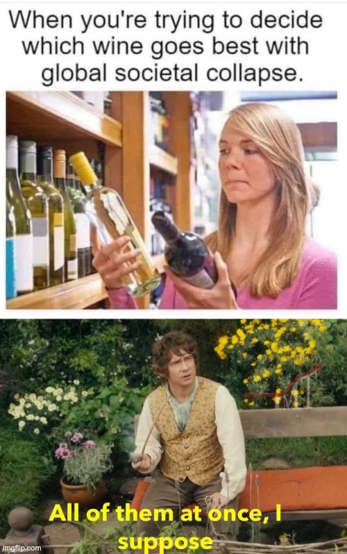 Which wine? | image tagged in all of them at once i suppose,apocalypse,collapse of society,lotr,bilbo | made w/ Imgflip meme maker