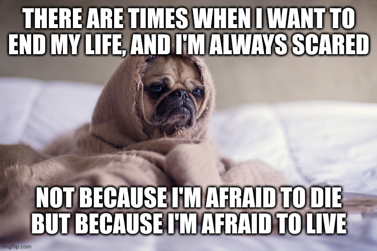 I'm not scared because I want to die--I want to die because it's easier than facing my fears | THERE ARE TIMES WHEN I WANT TO
END MY LIFE, AND I'M ALWAYS SCARED; NOT BECAUSE I'M AFRAID TO DIE
BUT BECAUSE I'M AFRAID TO LIVE | image tagged in burlap pug of sorrow | made w/ Imgflip meme maker