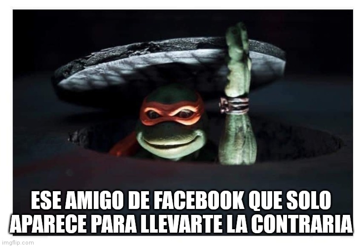 Ninja Turtle | ESE AMIGO DE FACEBOOK QUE SOLO APARECE PARA LLEVARTE LA CONTRARIA | image tagged in ninja turtle | made w/ Imgflip meme maker
