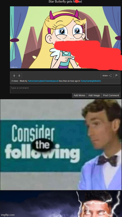 TURKEY WTF | image tagged in wtf,turkey_gaming,star vs the forces of evil,svtfoe | made w/ Imgflip meme maker