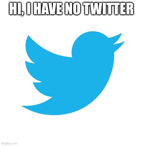 Twitter birds says | HI, I HAVE NO TWITTER | image tagged in twitter birds says | made w/ Imgflip meme maker