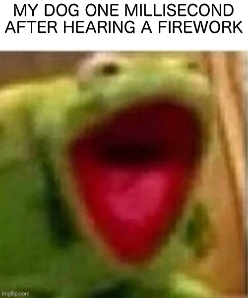 Happy 4th of July! | MY DOG ONE MILLISECOND AFTER HEARING A FIREWORK | image tagged in ahhhhhhhhhhhhh,4th of july,fireworks,dogs,memes,funny | made w/ Imgflip meme maker