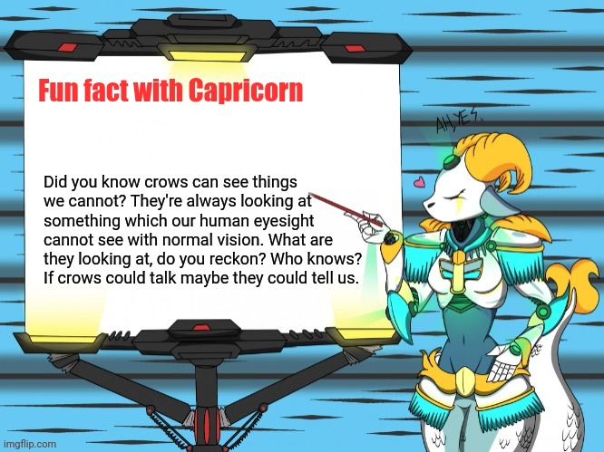 Fun fact with Capricorn | Fun fact with Capricorn; Did you know crows can see things we cannot? They're always looking at something which our human eyesight cannot see with normal vision. What are they looking at, do you reckon? Who knows? If crows could talk maybe they could tell us. | image tagged in fun fact with capricorn | made w/ Imgflip meme maker