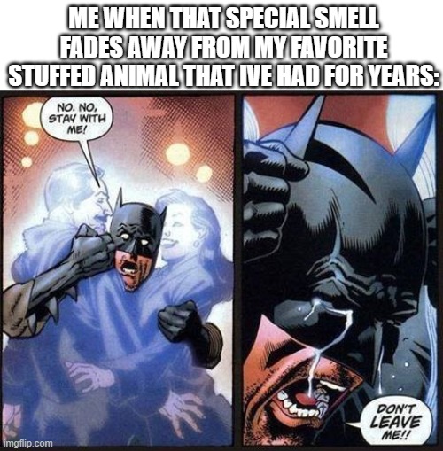 me fr | ME WHEN THAT SPECIAL SMELL FADES AWAY FROM MY FAVORITE STUFFED ANIMAL THAT IVE HAD FOR YEARS: | image tagged in batman don't leave me | made w/ Imgflip meme maker