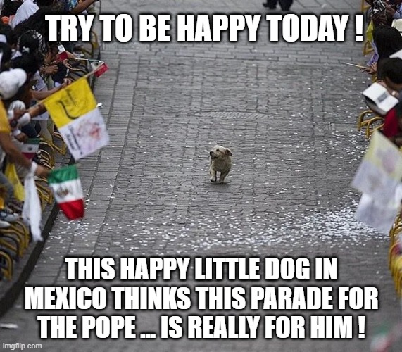 dog in parade | TRY TO BE HAPPY TODAY ! THIS HAPPY LITTLE DOG IN MEXICO THINKS THIS PARADE FOR THE POPE ... IS REALLY FOR HIM ! | image tagged in happy dog | made w/ Imgflip meme maker