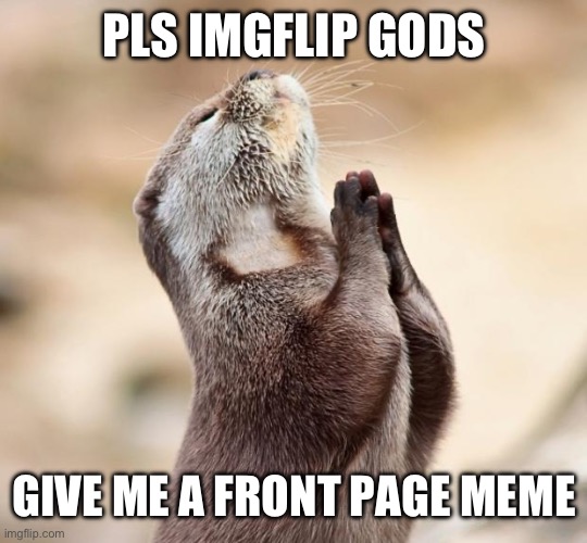 Everyone has hoped for this | PLS IMGFLIP GODS; GIVE ME A FRONT PAGE MEME | image tagged in animal praying,relatable,funny,funny memes,otter,imgflip | made w/ Imgflip meme maker