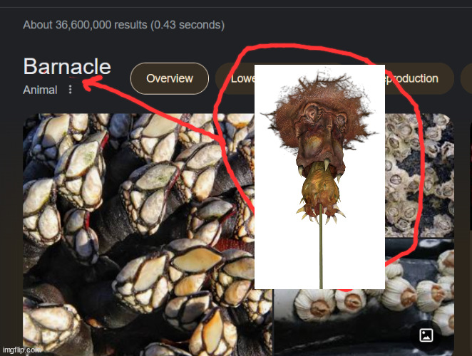 Barnacle | image tagged in half life,valve | made w/ Imgflip meme maker
