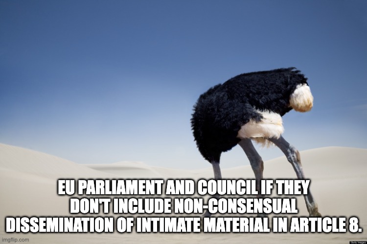 Ostrich head in sand | EU PARLIAMENT AND COUNCIL IF THEY DON'T INCLUDE NON-CONSENSUAL DISSEMINATION OF INTIMATE MATERIAL IN ARTICLE 8. | image tagged in ostrich head in sand | made w/ Imgflip meme maker