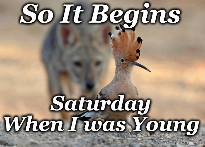so it begins | So It Begins; Saturday When I was Young | image tagged in so it begins | made w/ Imgflip meme maker