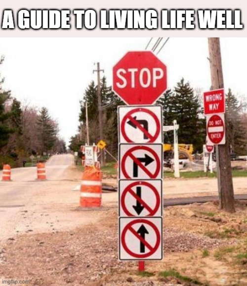 Guide To Life | A GUIDE TO LIVING LIFE WELL | image tagged in confusing,life,advice | made w/ Imgflip meme maker