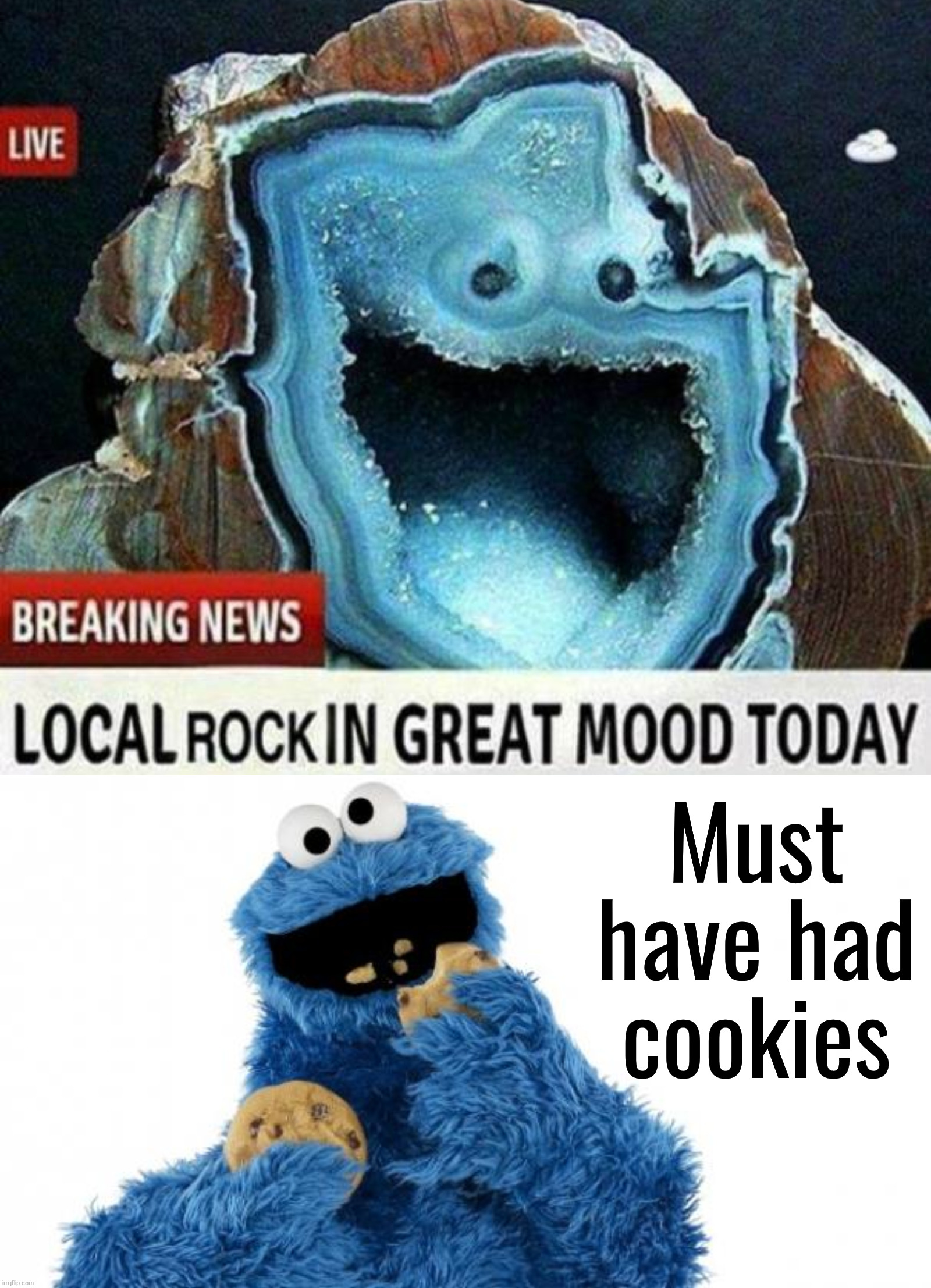 A unique rock that looks like cookie monster | Must have had cookies | image tagged in cookie monster,the rock,unique,happy,current mood | made w/ Imgflip meme maker