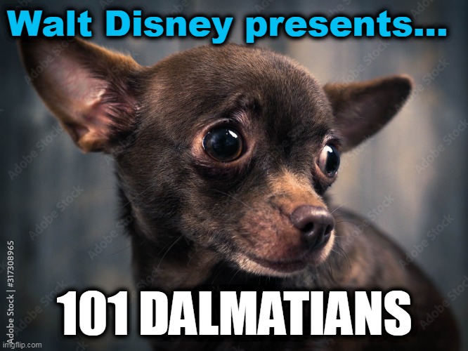 Walt Disney' presents 101 Dalmatians | Walt Disney presents... 101 DALMATIANS | image tagged in 101 dalmatians,disney,woke,chihuahua,anti disney,woke disney | made w/ Imgflip meme maker