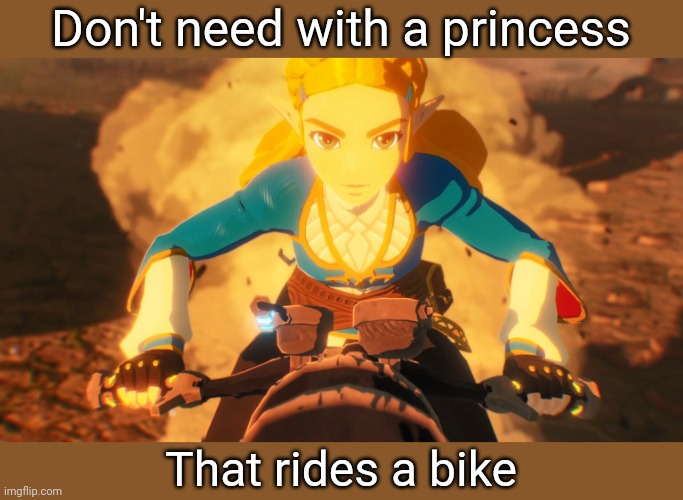 Zelda will mess you up | Don't need with a princess; That rides a bike | image tagged in legend of zelda,zelda,motorcycle | made w/ Imgflip meme maker