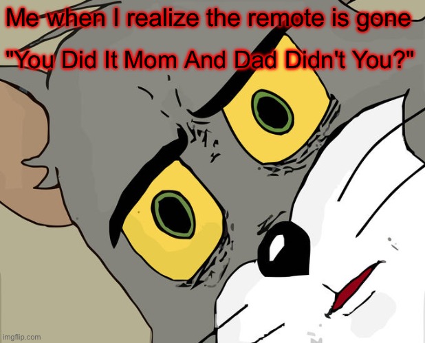 Noooooooooooo | Me when I realize the remote is gone; "You Did It Mom And Dad Didn't You?" | image tagged in memes,unsettled tom,oh my god,remote control | made w/ Imgflip meme maker