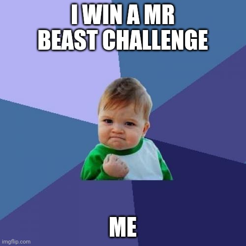 Success Kid | I WIN A MR BEAST CHALLENGE; ME | image tagged in memes,success kid | made w/ Imgflip meme maker