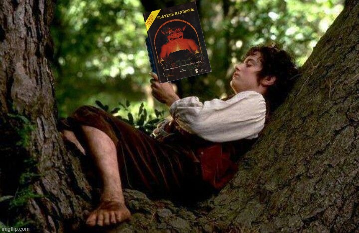 Frodo Checks Out the Player's Handbook | image tagged in frodo,lord of the rings,dungeons and dragons | made w/ Imgflip meme maker