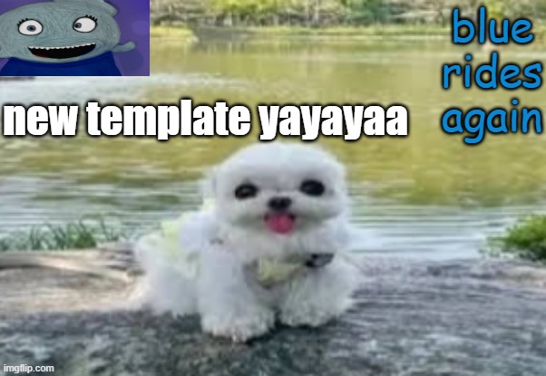 rea | new template yayayaa | image tagged in rea | made w/ Imgflip meme maker