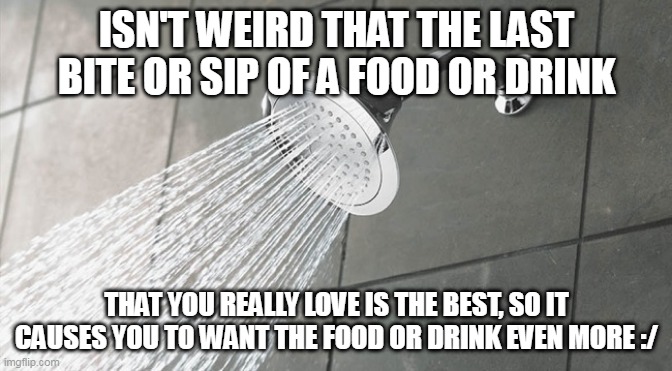 Shower Thoughts Part 1 | ISN'T WEIRD THAT THE LAST BITE OR SIP OF A FOOD OR DRINK; THAT YOU REALLY LOVE IS THE BEST, SO IT CAUSES YOU TO WANT THE FOOD OR DRINK EVEN MORE :/ | image tagged in shower thoughts,food,relateable,funny,new meme | made w/ Imgflip meme maker